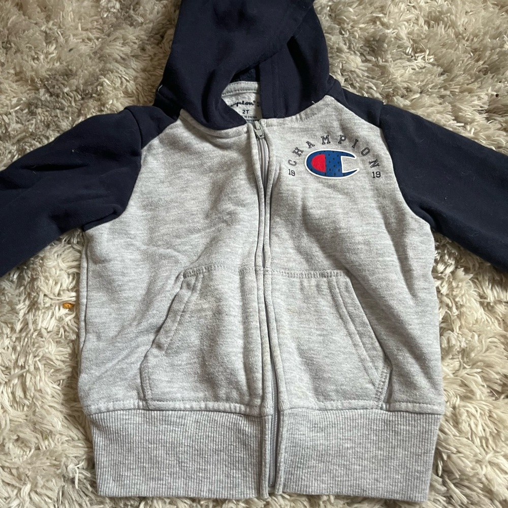 Champion Gray and Blue Zip-Up Hoodie